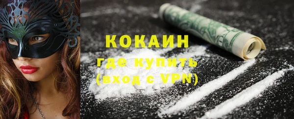 сатива Аркадак