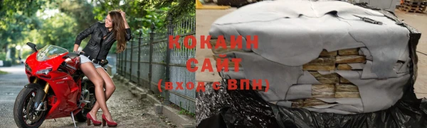 сатива Аркадак