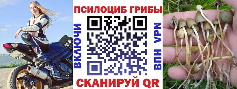 даркнет сайт  Любань  Псилоцибиновые грибы мицелий 